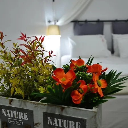 Nova Citrus فندق