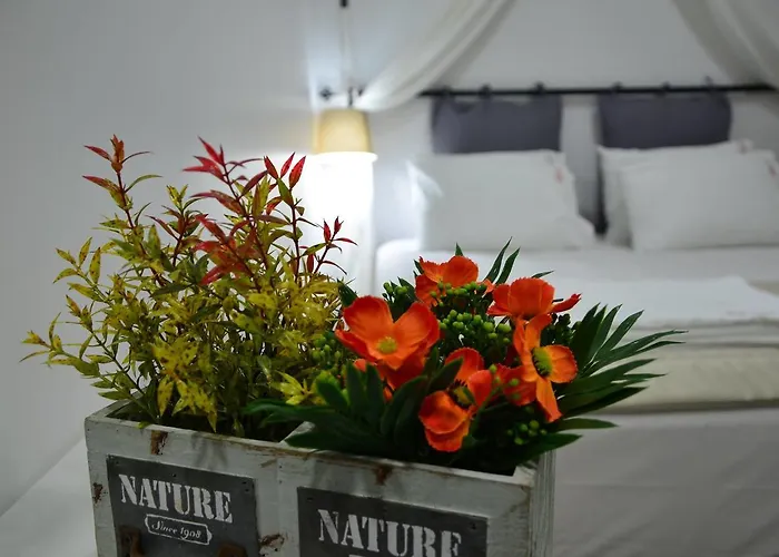 Nova Citrus מלון