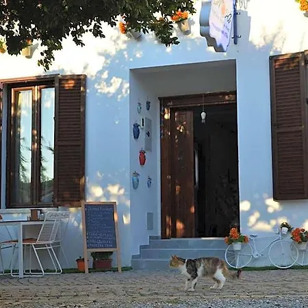 Nova Citrus Siğacık