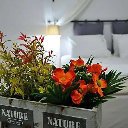 فندق Nova Citrus 4*