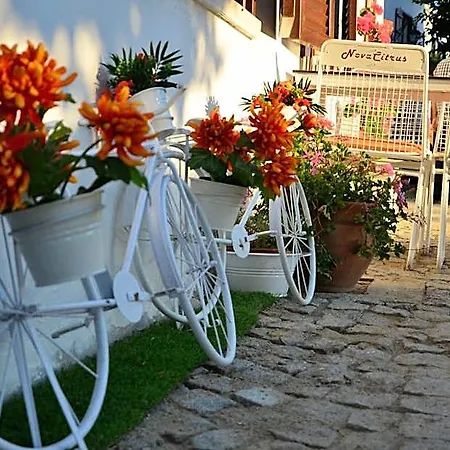 Nova Citrus 4* Siğacık