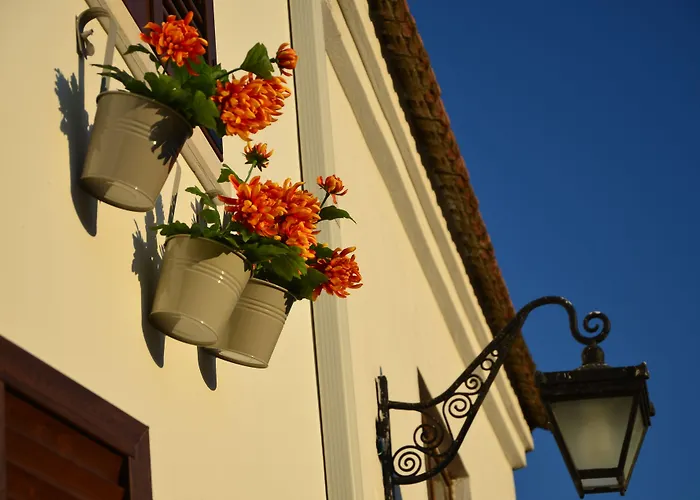 Hotel Nova Citrus 2*