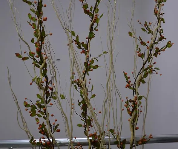 Nova Citrus Hotel 2*